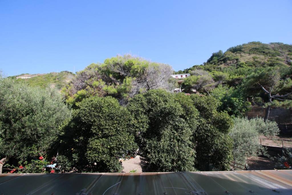 Il Giglio Di Mare Βίλα San Saba Εξωτερικό φωτογραφία